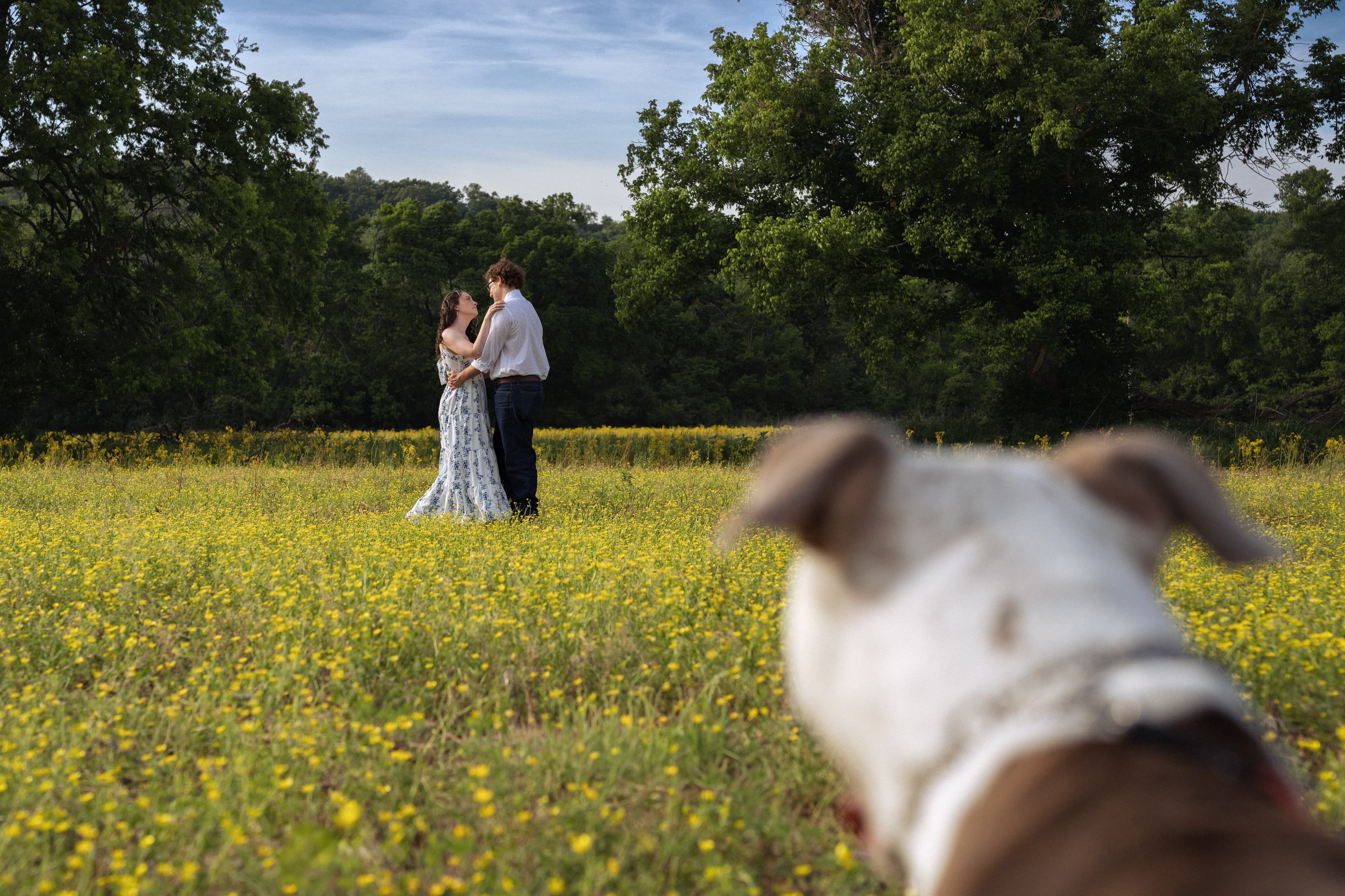 Engagement photo 4